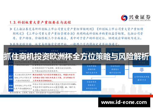 抓住商机投资欧洲杯全方位策略与风险解析