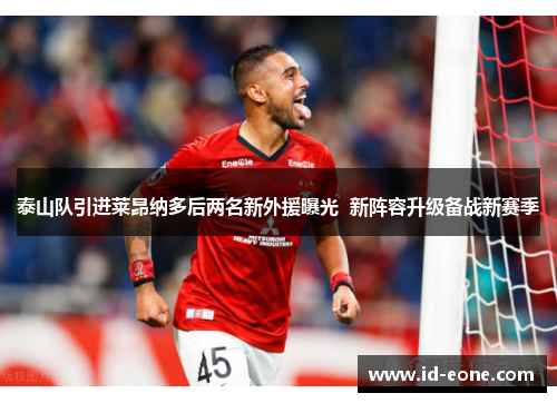 泰山队引进莱昂纳多后两名新外援曝光  新阵容升级备战新赛季