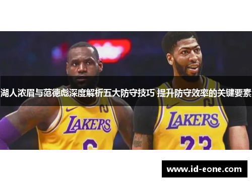 湖人浓眉与范德彪深度解析五大防守技巧 提升防守效率的关键要素
